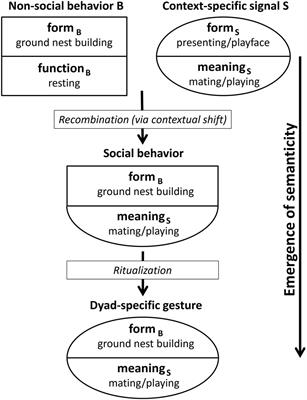 Symbolic Signal Use in Wild Chimpanzee Gestural Communication?: A Theoretical Framework